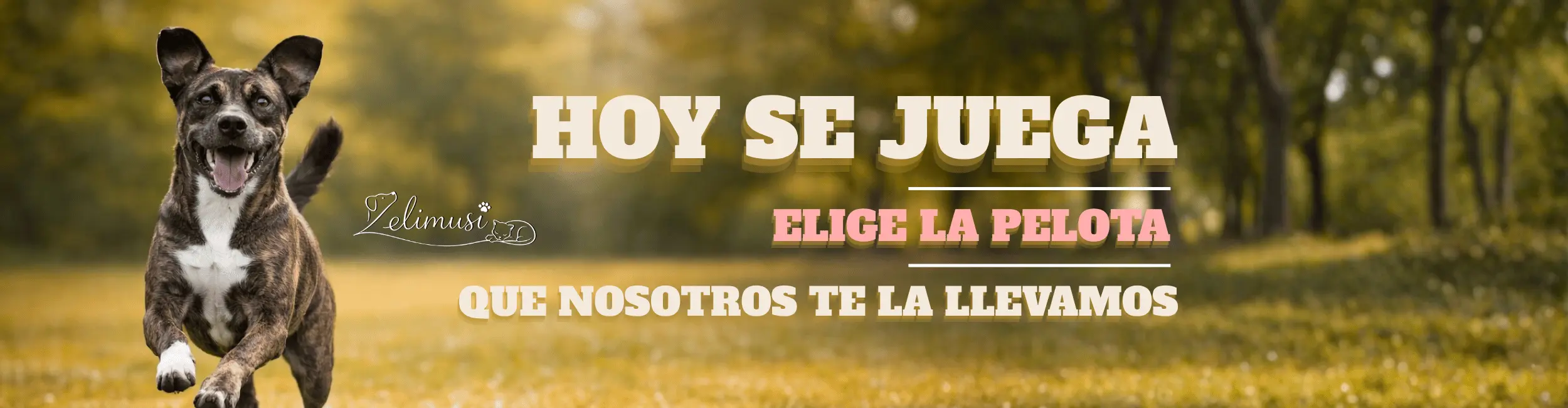 Banner de juguetes para mascotas y productos para perros y gatos