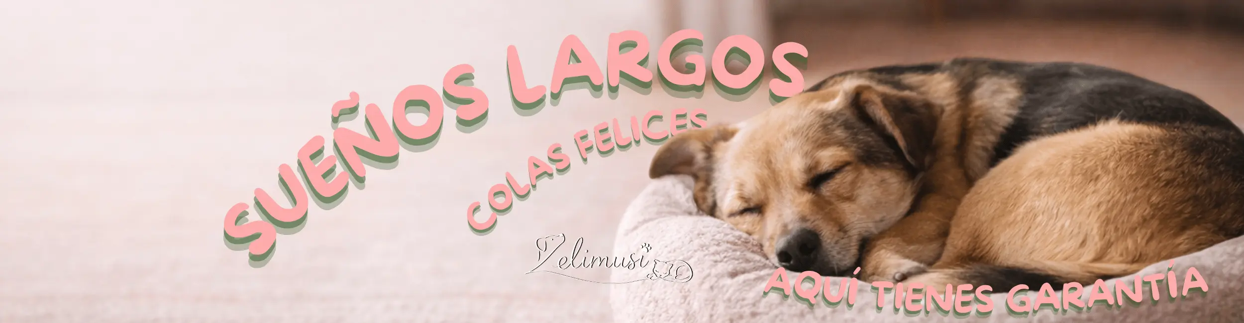 Banner de moda animal y accesorios para perros y gatos