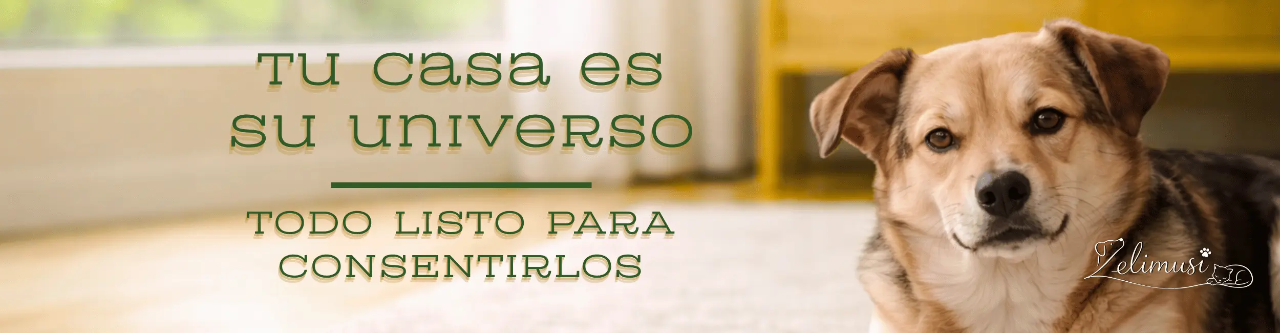 Banner de accesorios para mascotas en Zelimusi Shop